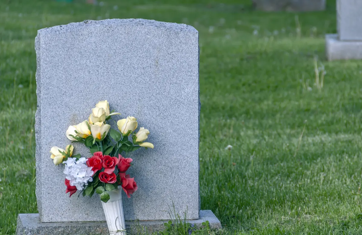 D0d8b358ac76d36ab880654b917dac351a244f11