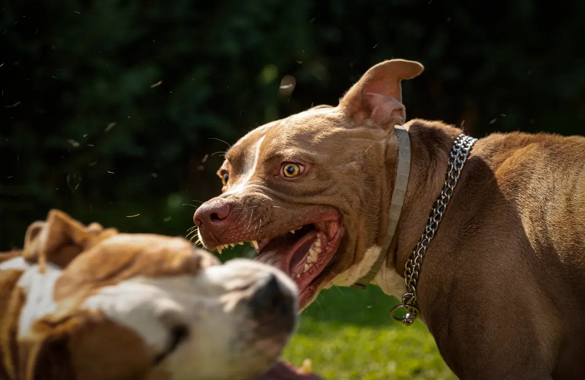 52e5ed3bc9d1117cd1a51c737b6a07948dd149de